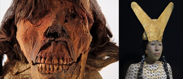 Detail A Picture Of A Mummy Nomer 36