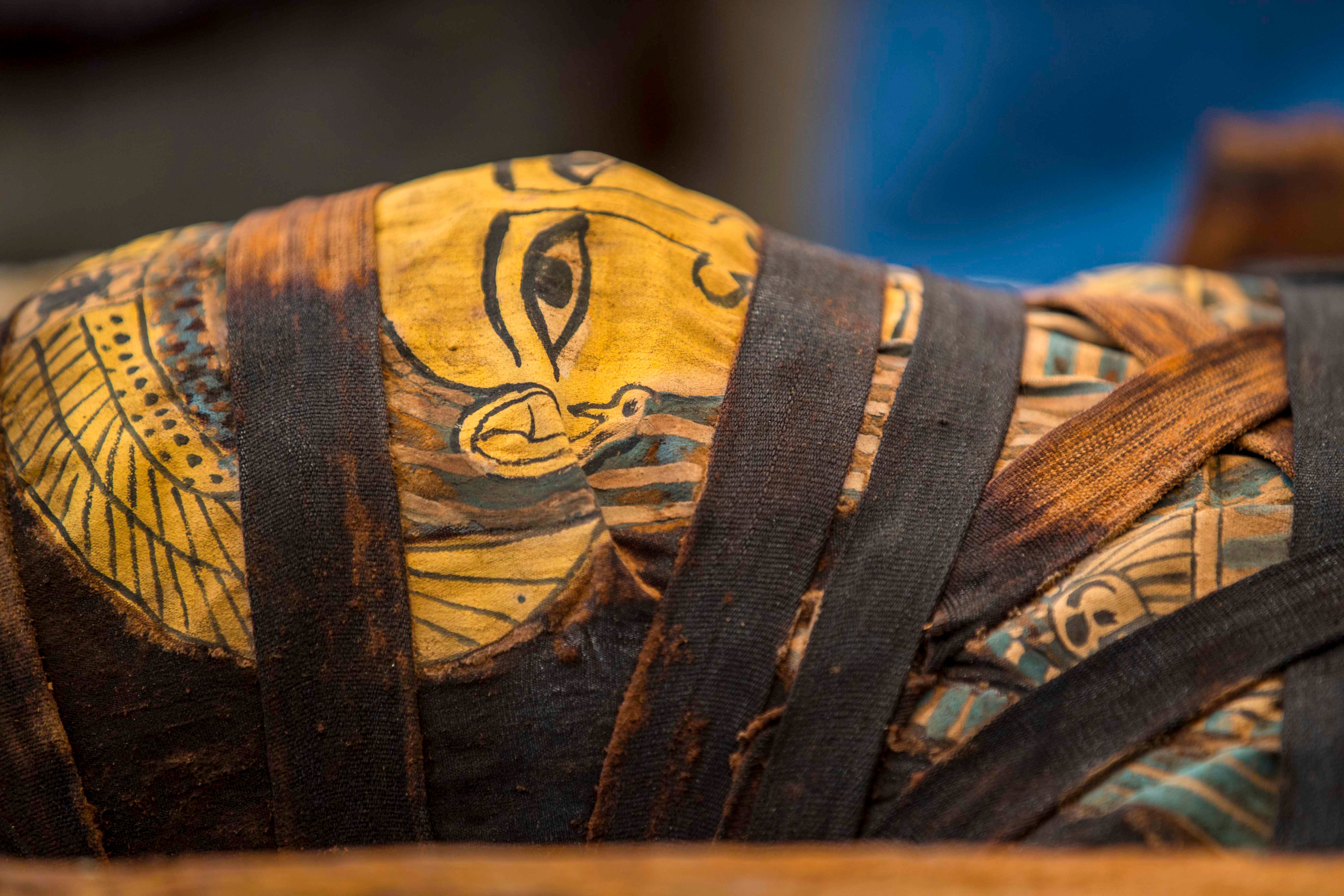 Detail A Picture Of A Mummy Nomer 40
