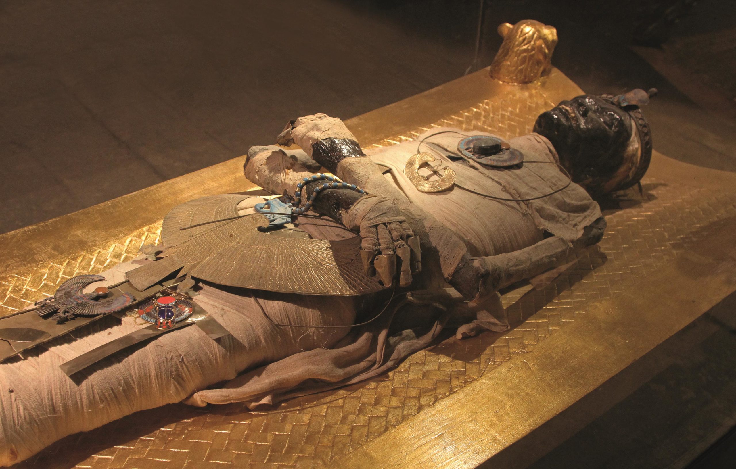 Detail A Picture Of A Mummy Nomer 6