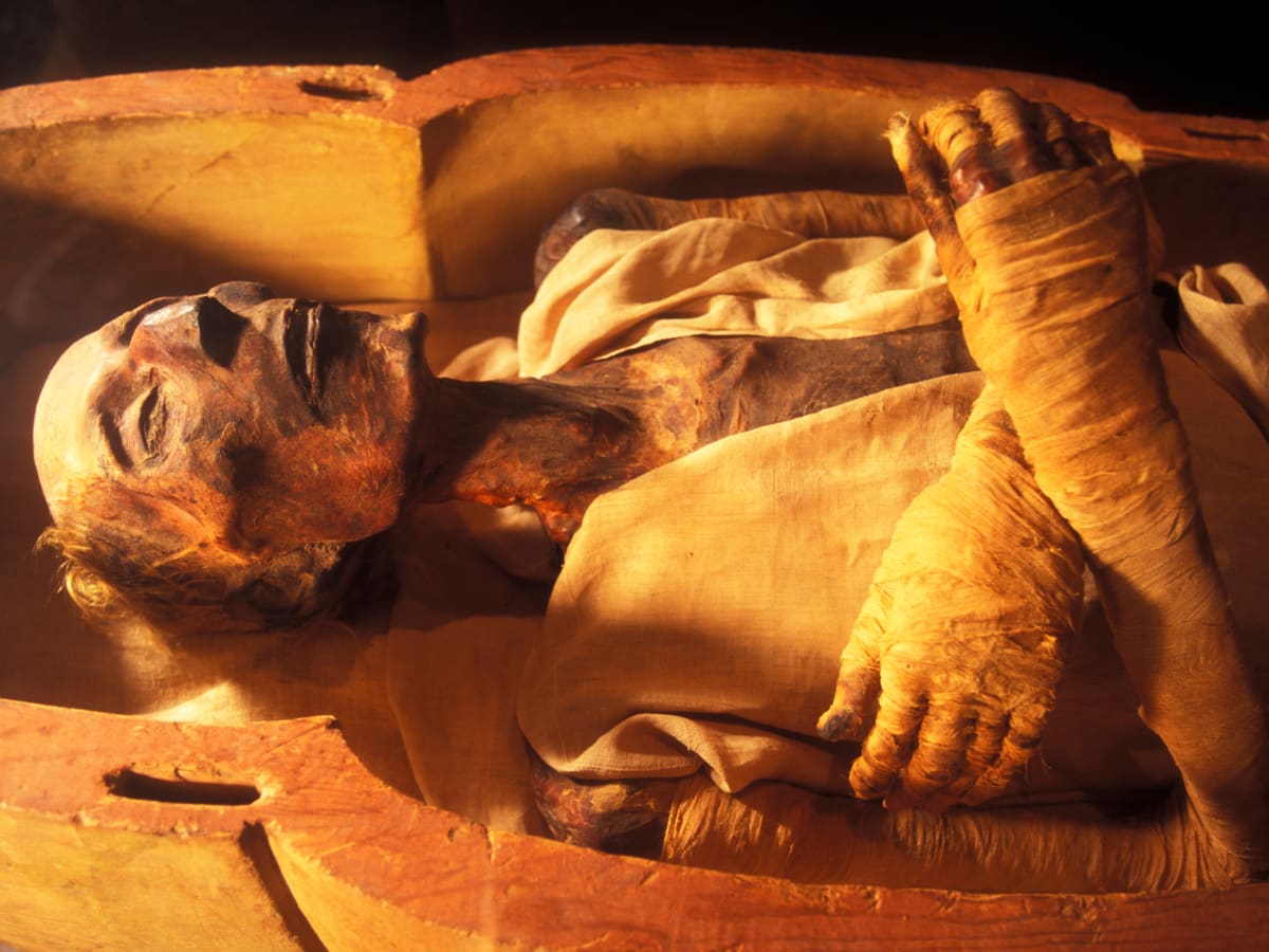Detail A Picture Of A Mummy Nomer 53