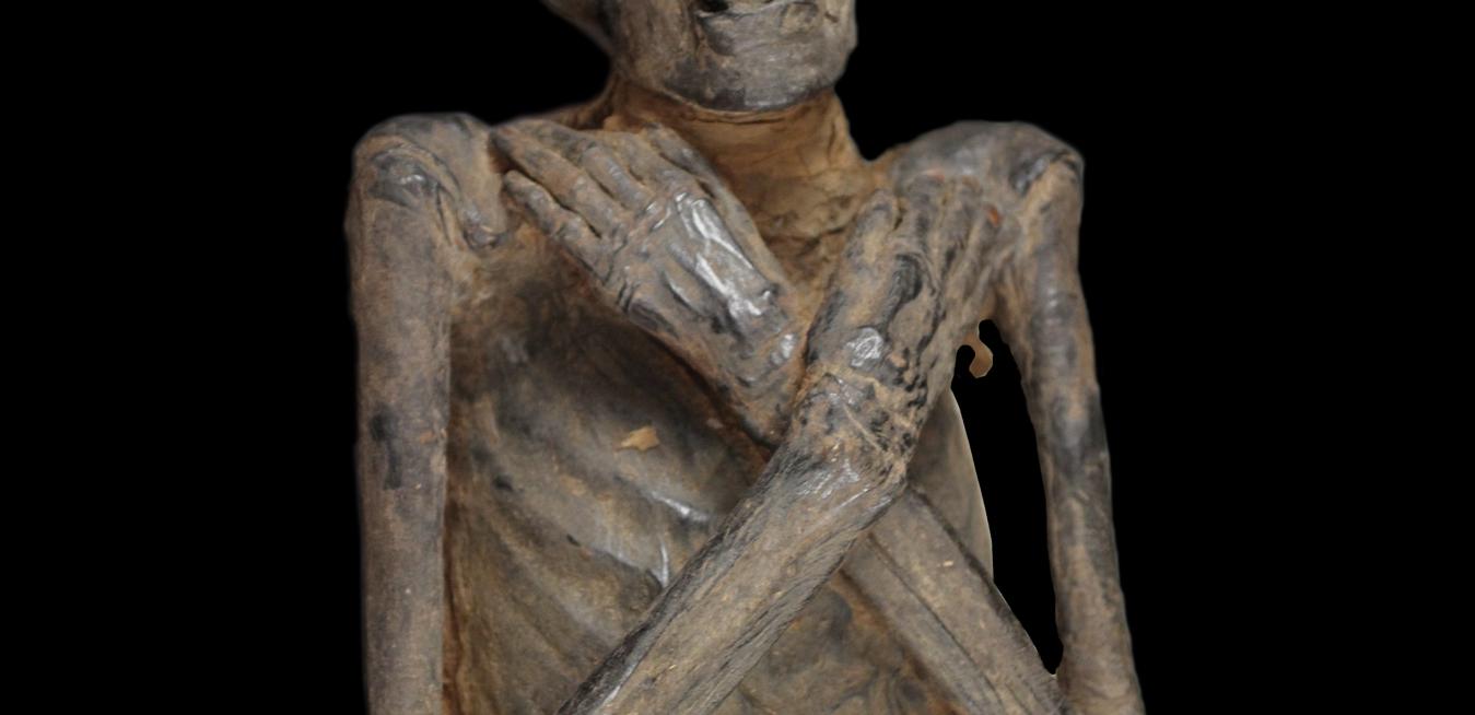 Detail A Picture Of A Mummy Nomer 8