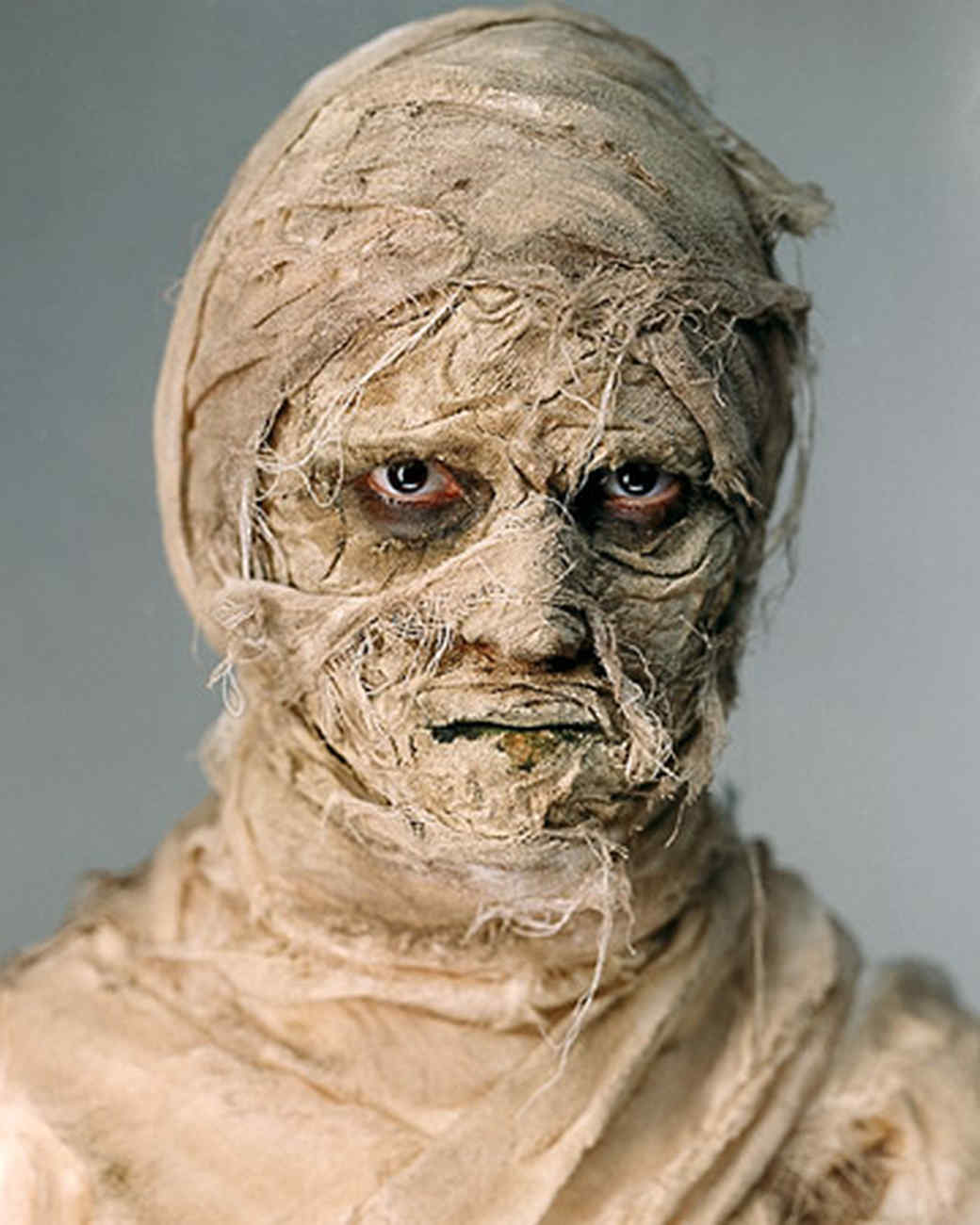 Detail A Picture Of A Mummy Nomer 9