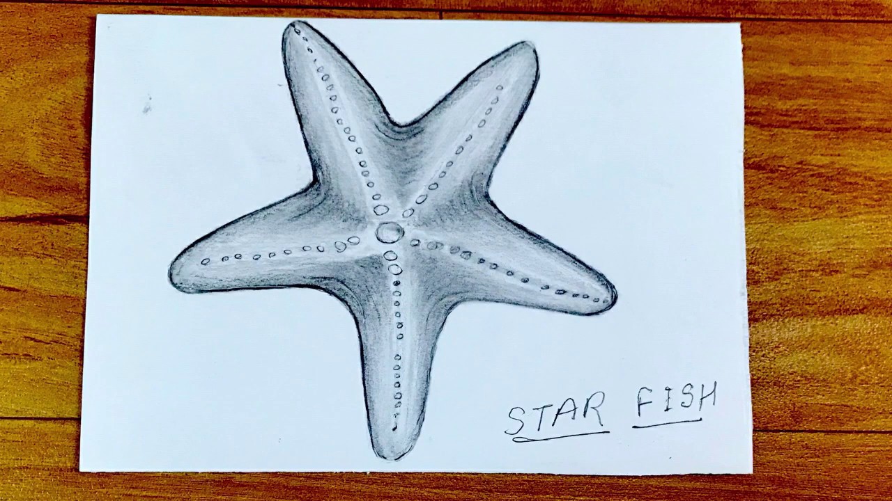 Detail A Picture Of A Star Fish Nomer 55