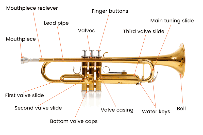 Detail A Picture Of A Trumpet Nomer 12