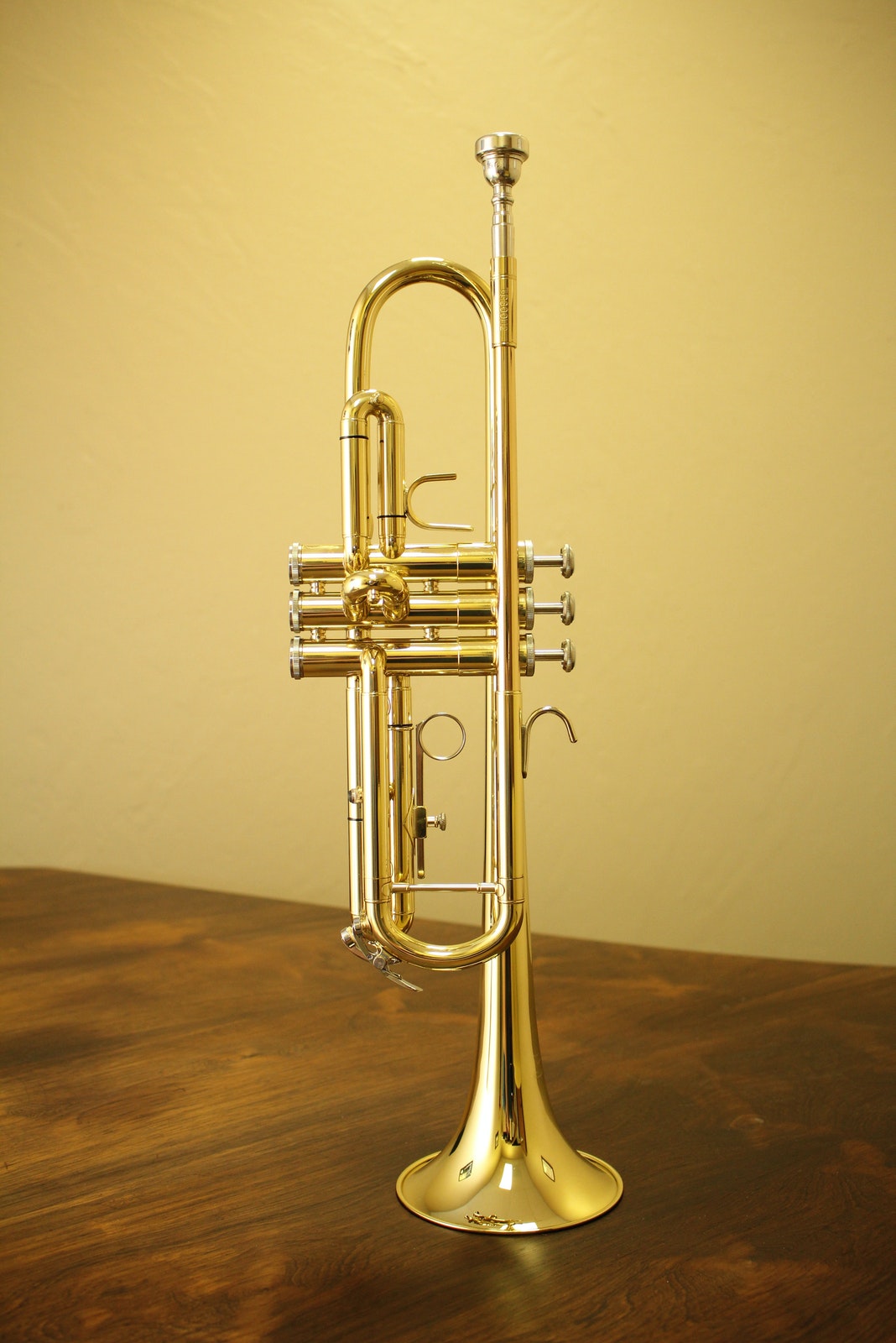 Detail A Picture Of A Trumpet Nomer 34