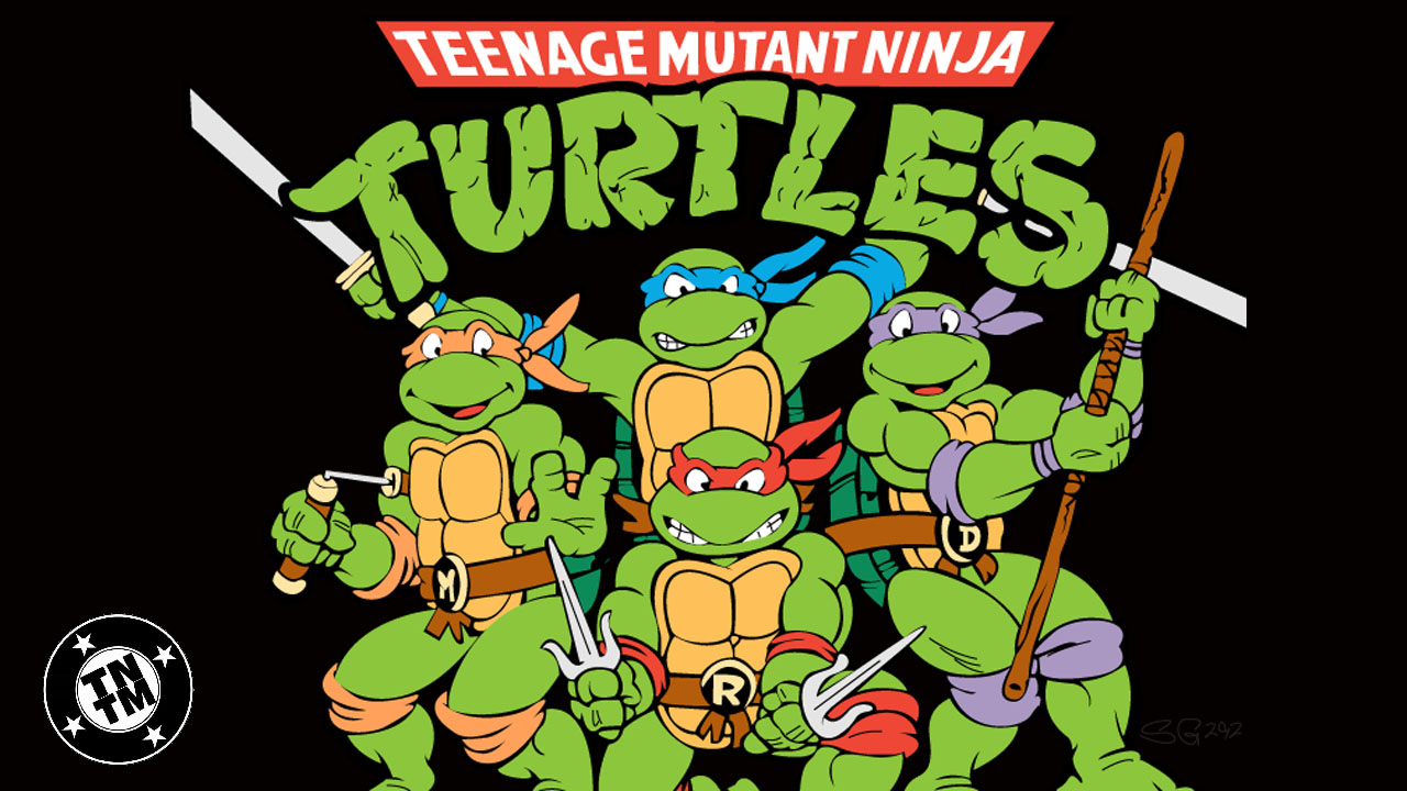 Detail A Picture Of Ninja Turtles Nomer 51