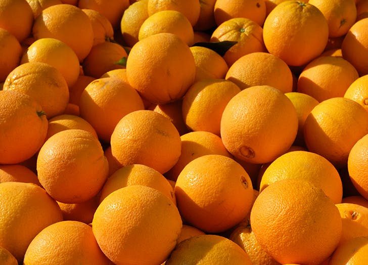 Detail A Picture Of Oranges Nomer 11