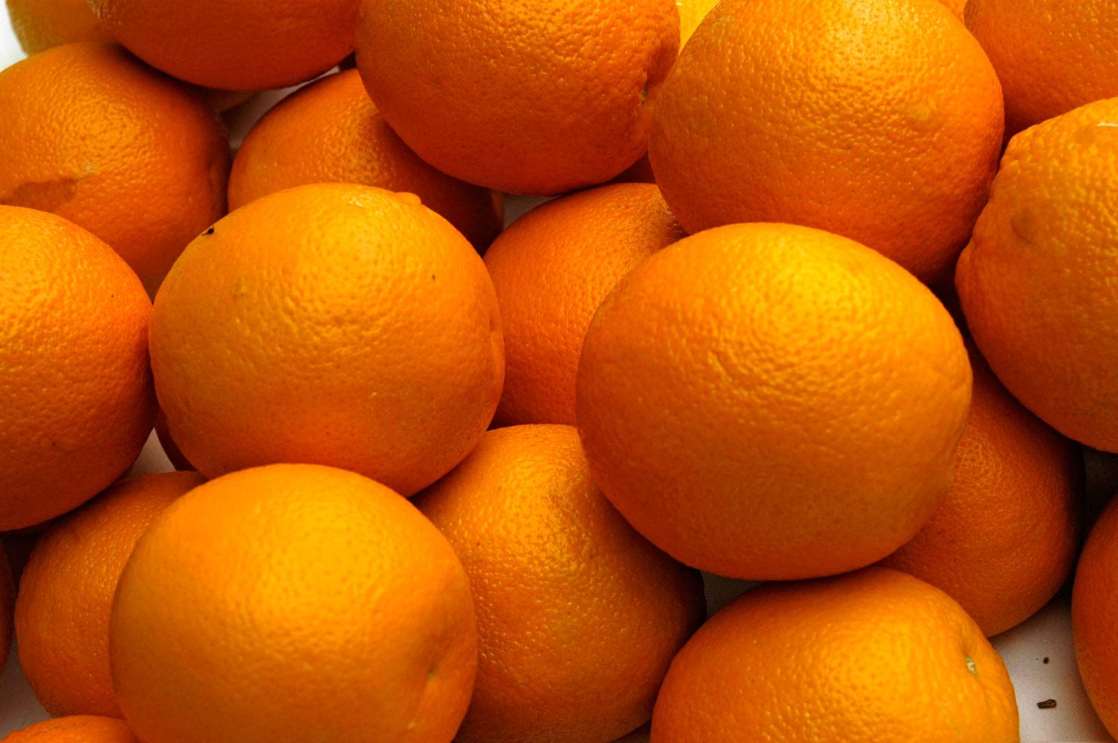 Detail A Picture Of Oranges Nomer 9