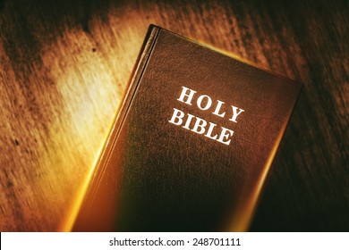 Detail A Picture Of The Holy Bible Nomer 13