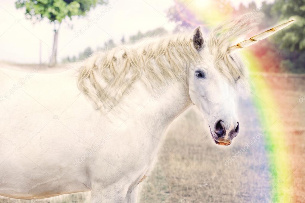 Detail A Rainbow Unicorn Nomer 34