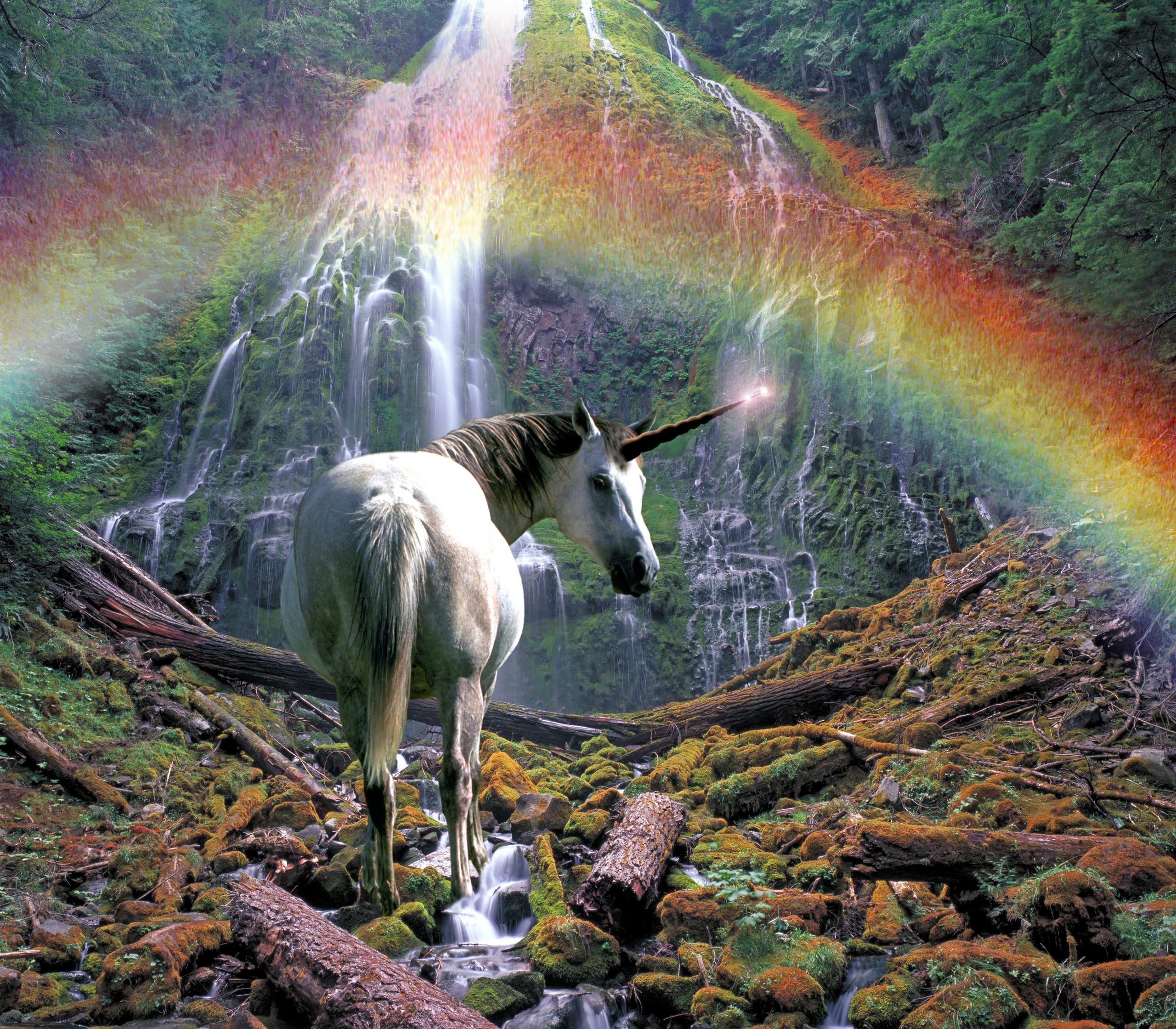 Detail A Rainbow Unicorn Nomer 37