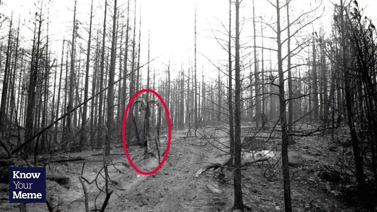 Detail A Real Picture Of Slender Man Nomer 18