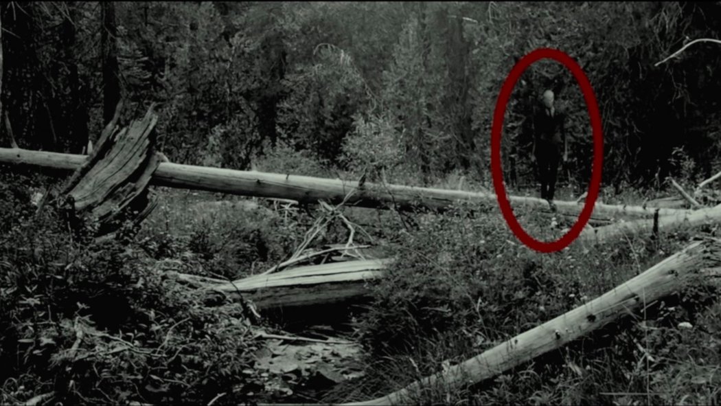 Detail A Real Picture Of Slender Man Nomer 6