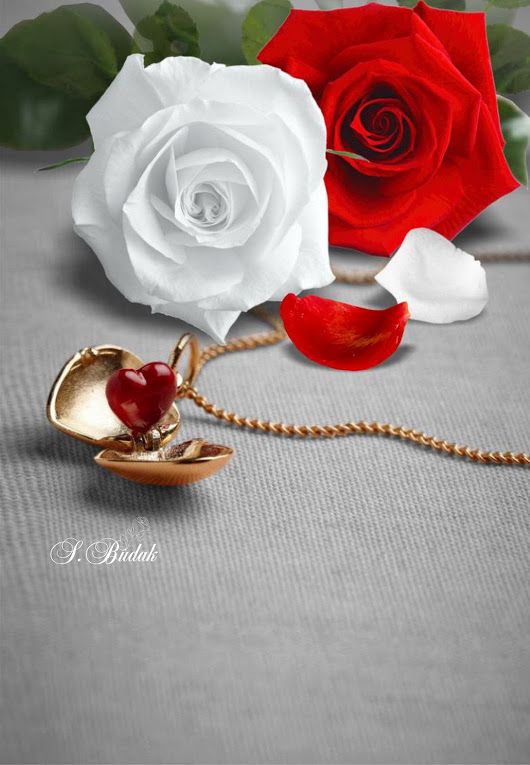 Detail A Rose For You Images Nomer 49