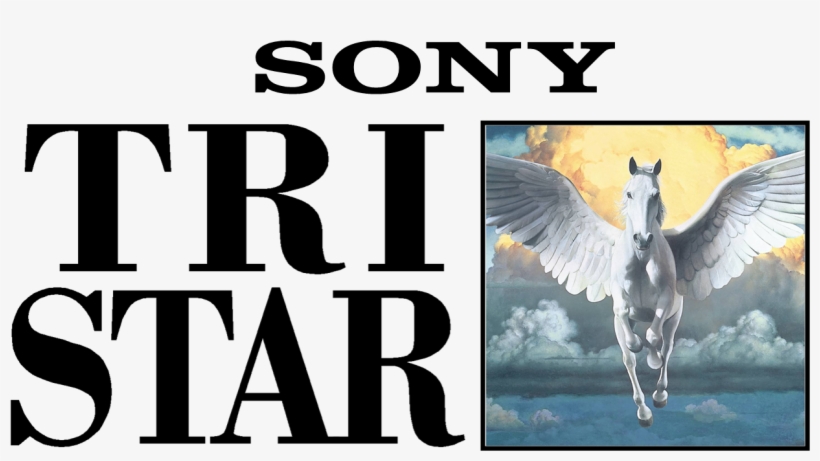 Download A Sony Company Logo Nomer 42