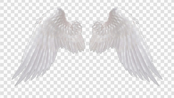 Detail A Wing Png Nomer 20