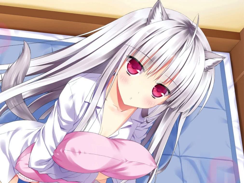 Detail Absolute Duo Wallpaper Nomer 57