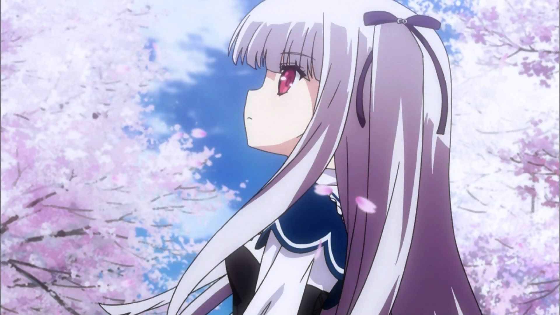 Detail Absolute Duo Wallpapers Nomer 29