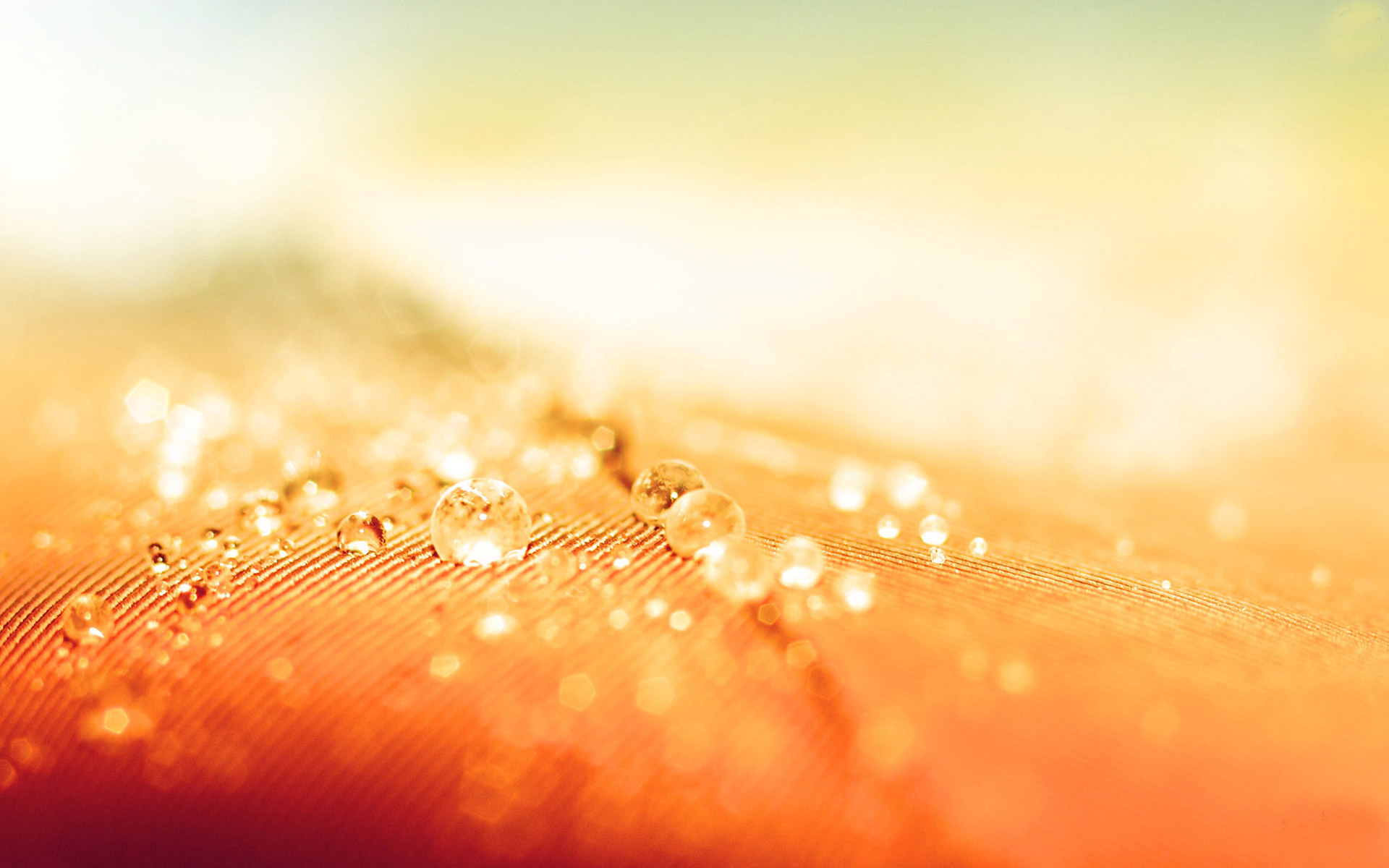 Detail Abstrack Hd Nomer 50