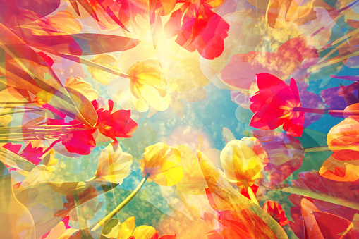 Detail Abstract Flower Background Nomer 36