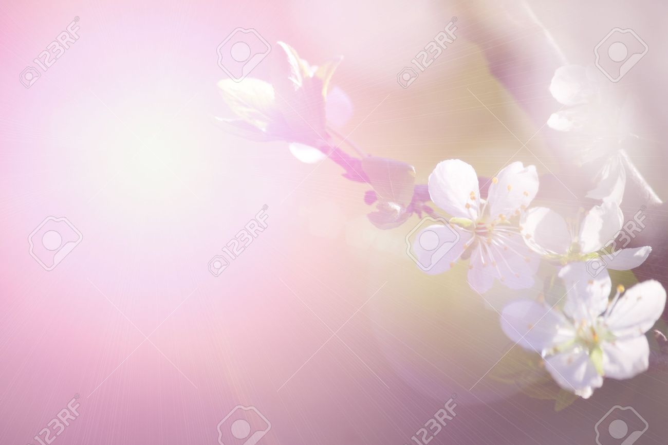 Detail Abstract Flower Background Nomer 7