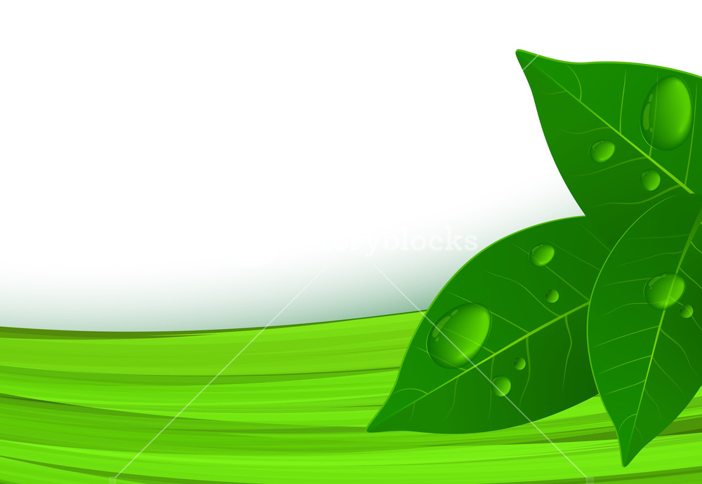 Detail Abstract Green Vector Nomer 27