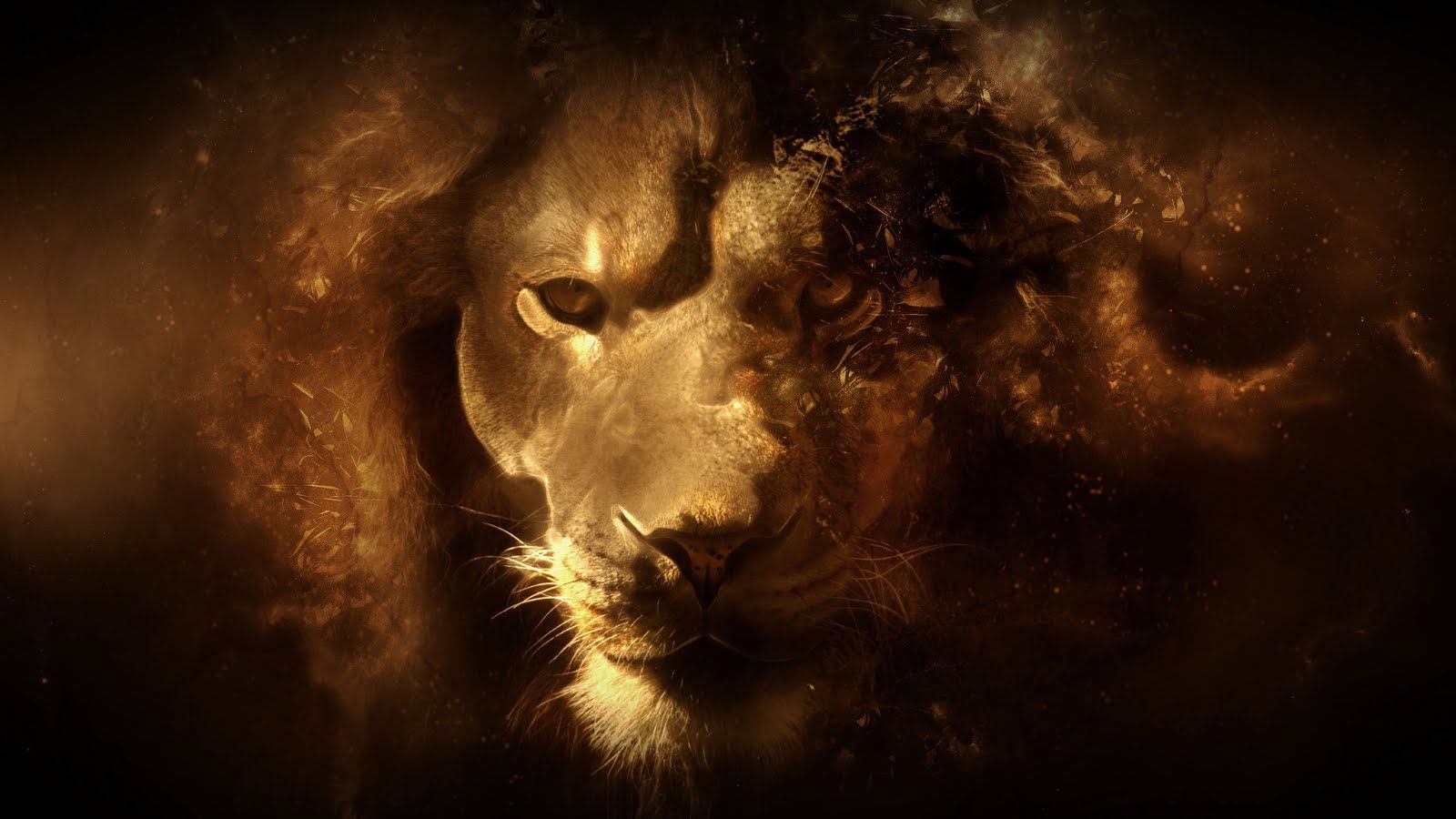 Detail Abstract Lion Wallpaper For Android Nomer 18