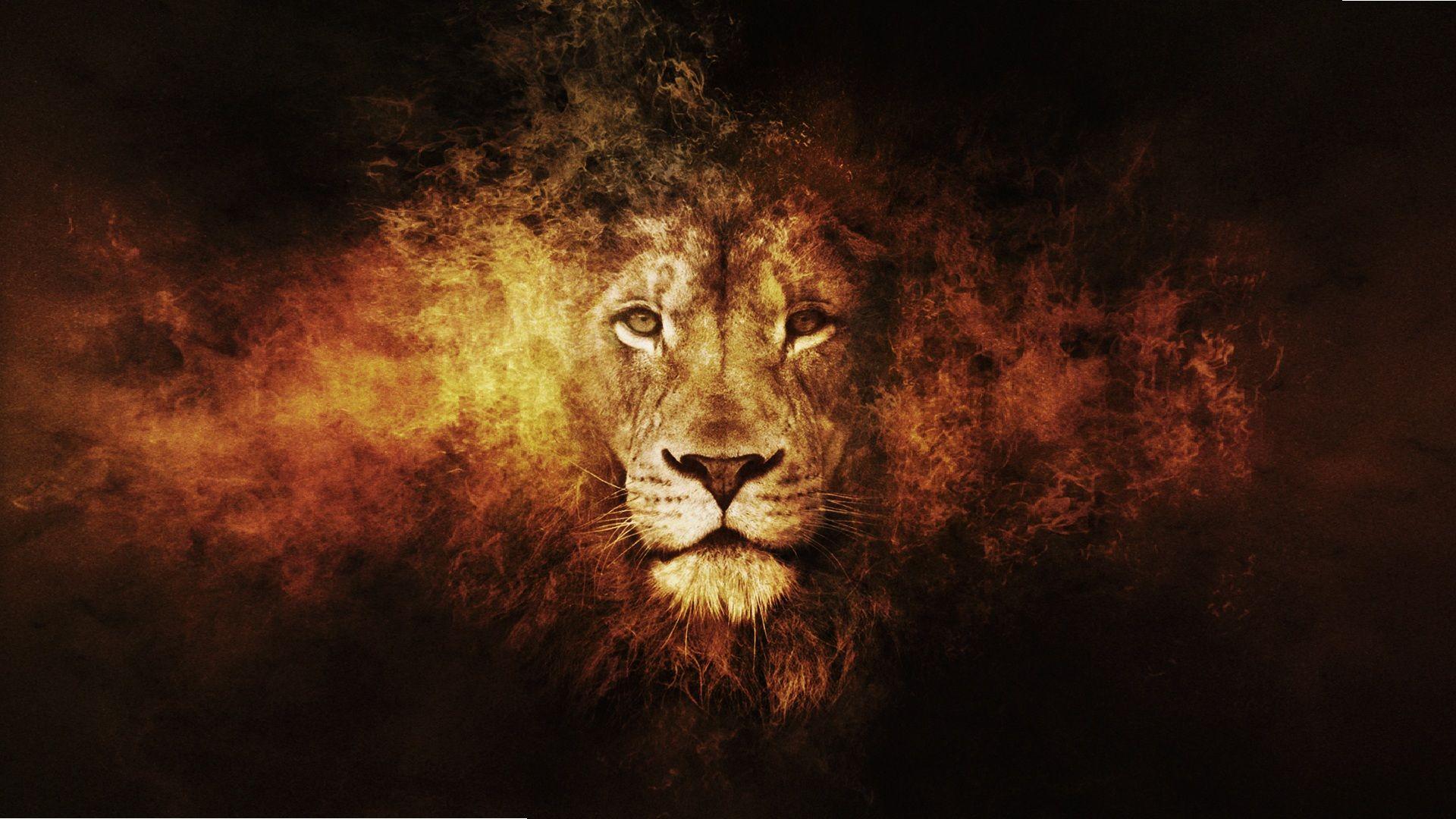 Detail Abstract Lion Wallpaper For Android Nomer 26