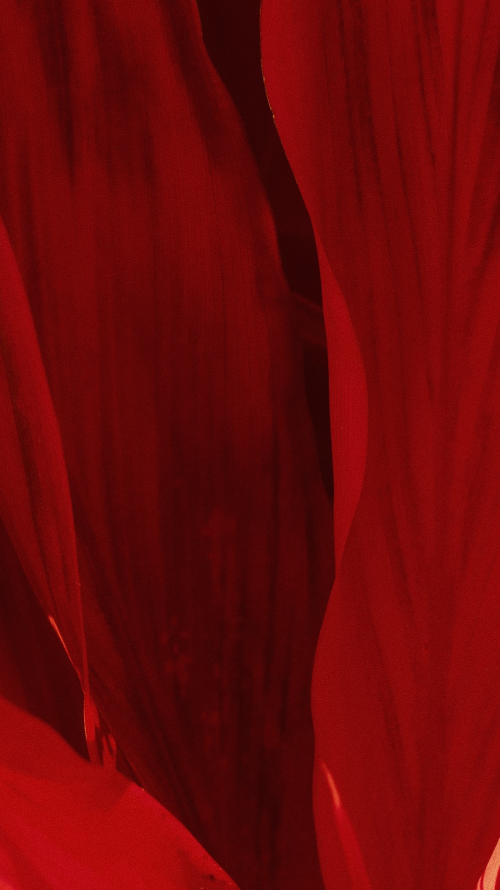Detail Abstract Red Wallpaper 1920x1080 Nomer 39