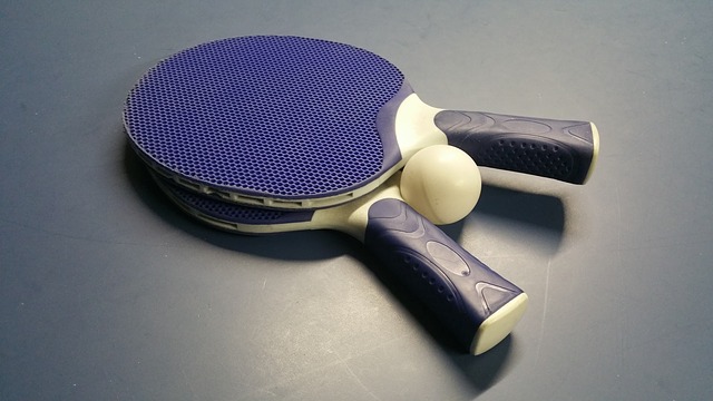 Detail Academy Ping Pong Paddle Nomer 51