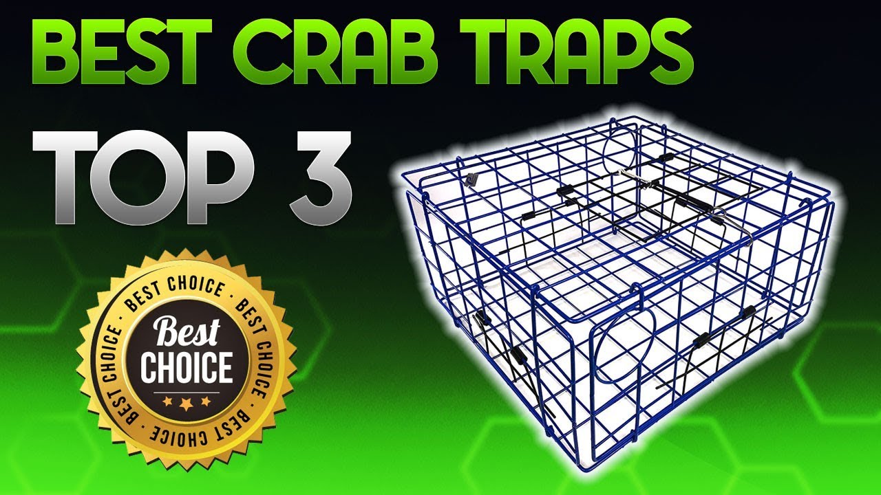 Detail Academy Sports Crab Traps Nomer 42