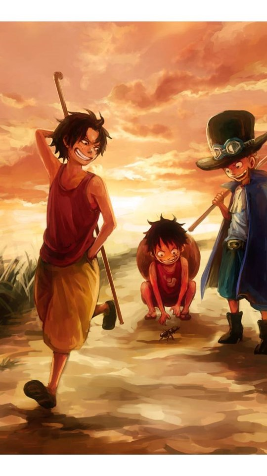 Detail Ace Sabo Luffy Wallpaper Nomer 15