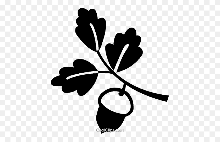 Detail Acorn Black And White Clipart Nomer 48