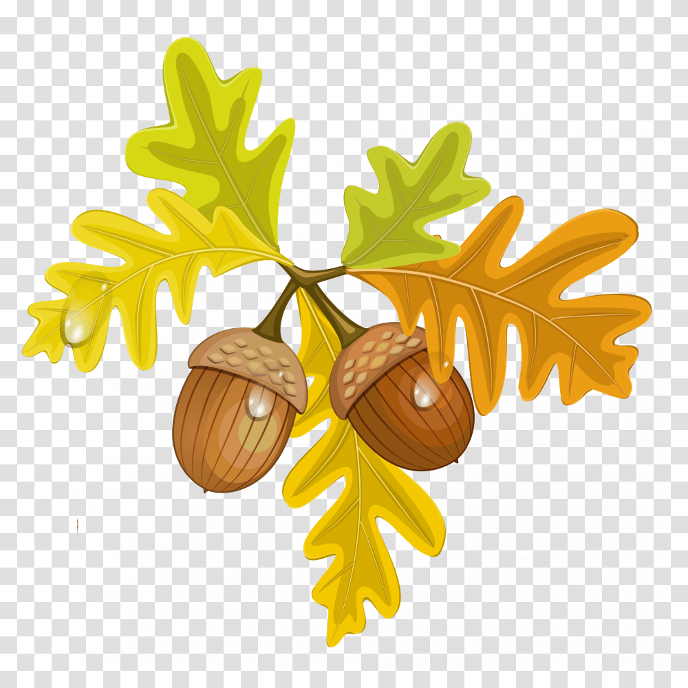 Detail Acorn Clip Art Free Nomer 25