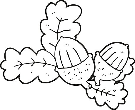 Detail Acorn Clipart Black And White Nomer 12