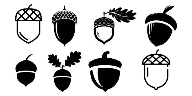 Detail Acorn Clipart Free Nomer 14