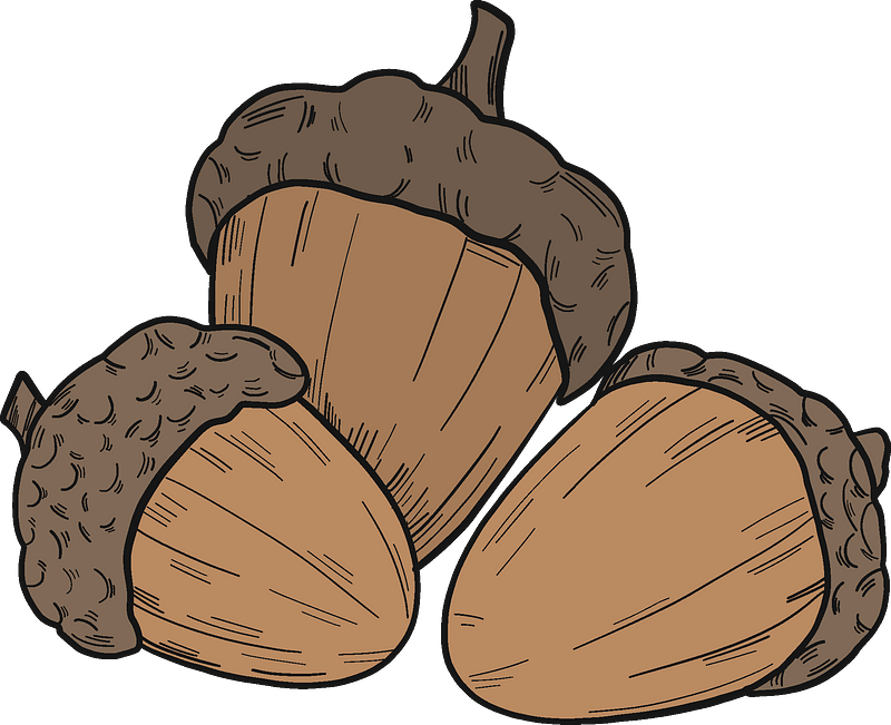 Detail Acorn Clipart Free Nomer 22