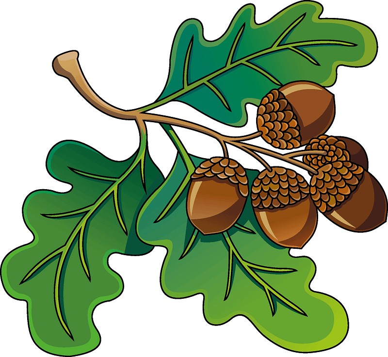 Detail Acorn Clipart Free Nomer 36