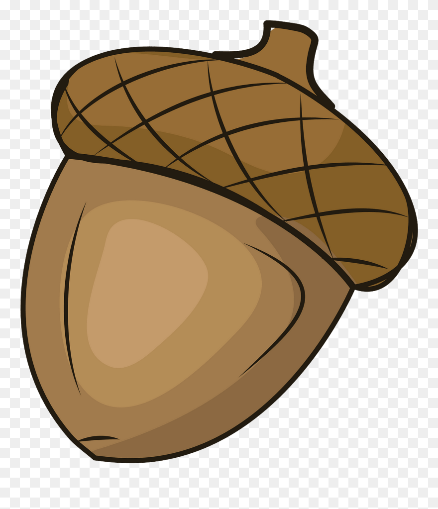 Detail Acorn Download Nomer 11