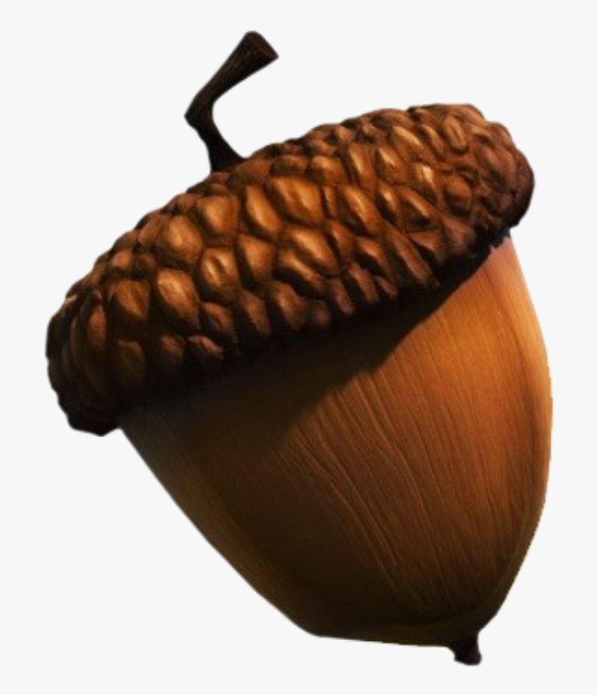 Detail Acorn Download Nomer 21