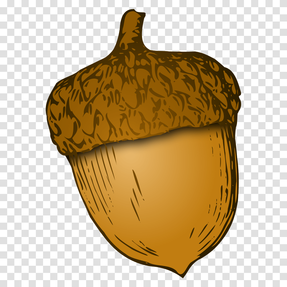 Detail Acorn Download Nomer 26