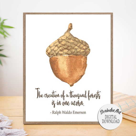 Detail Acorn Download Nomer 30