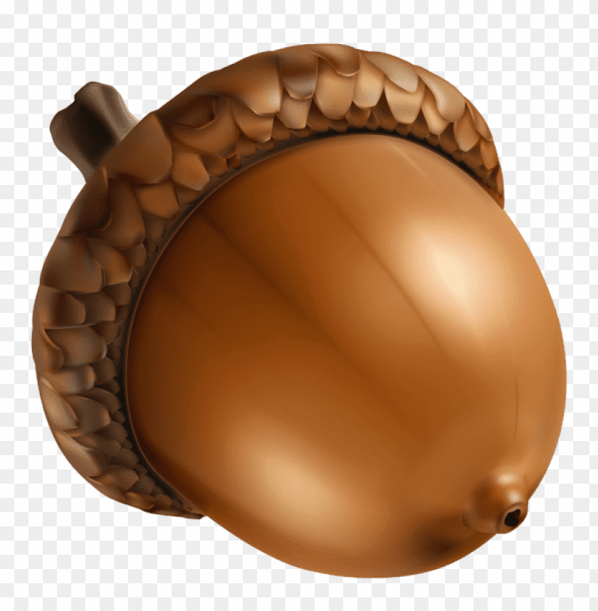 Detail Acorn Download Nomer 7