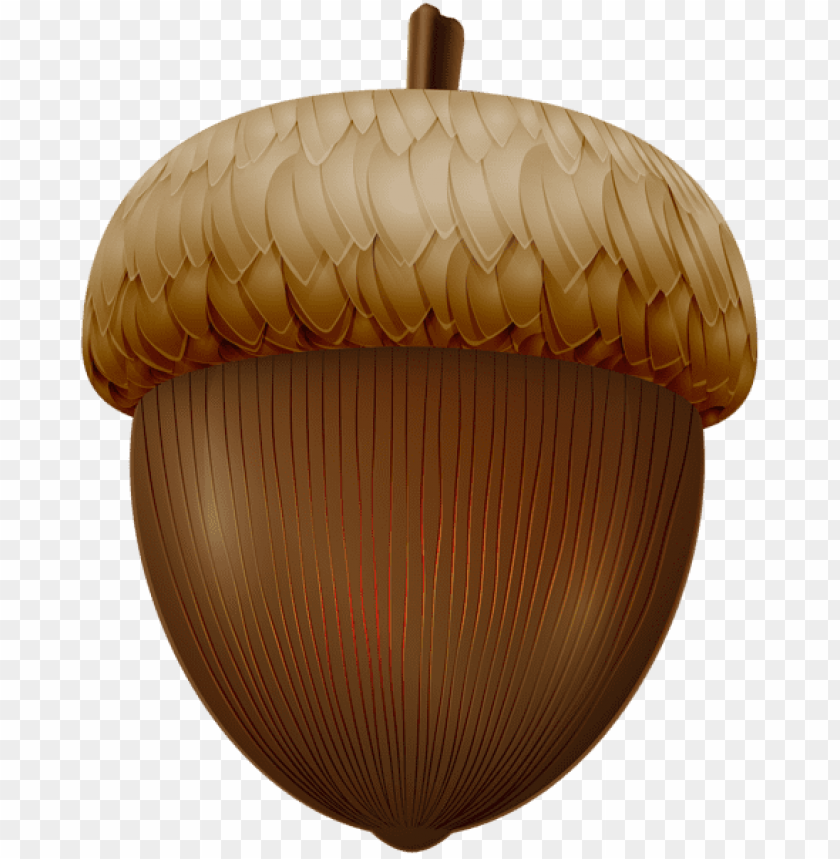 Detail Acorn Download Nomer 9