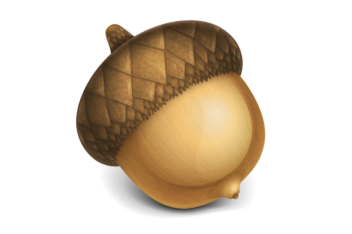 Detail Acorn Image Nomer 11
