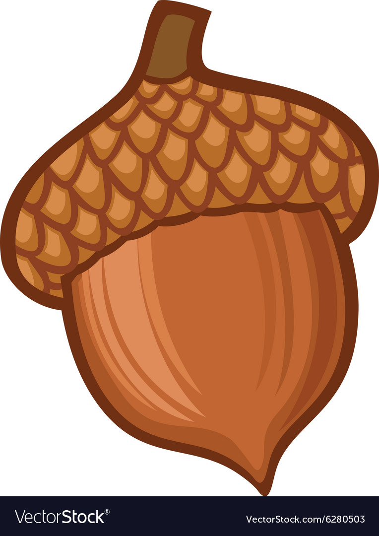 Detail Acorn Image Nomer 22