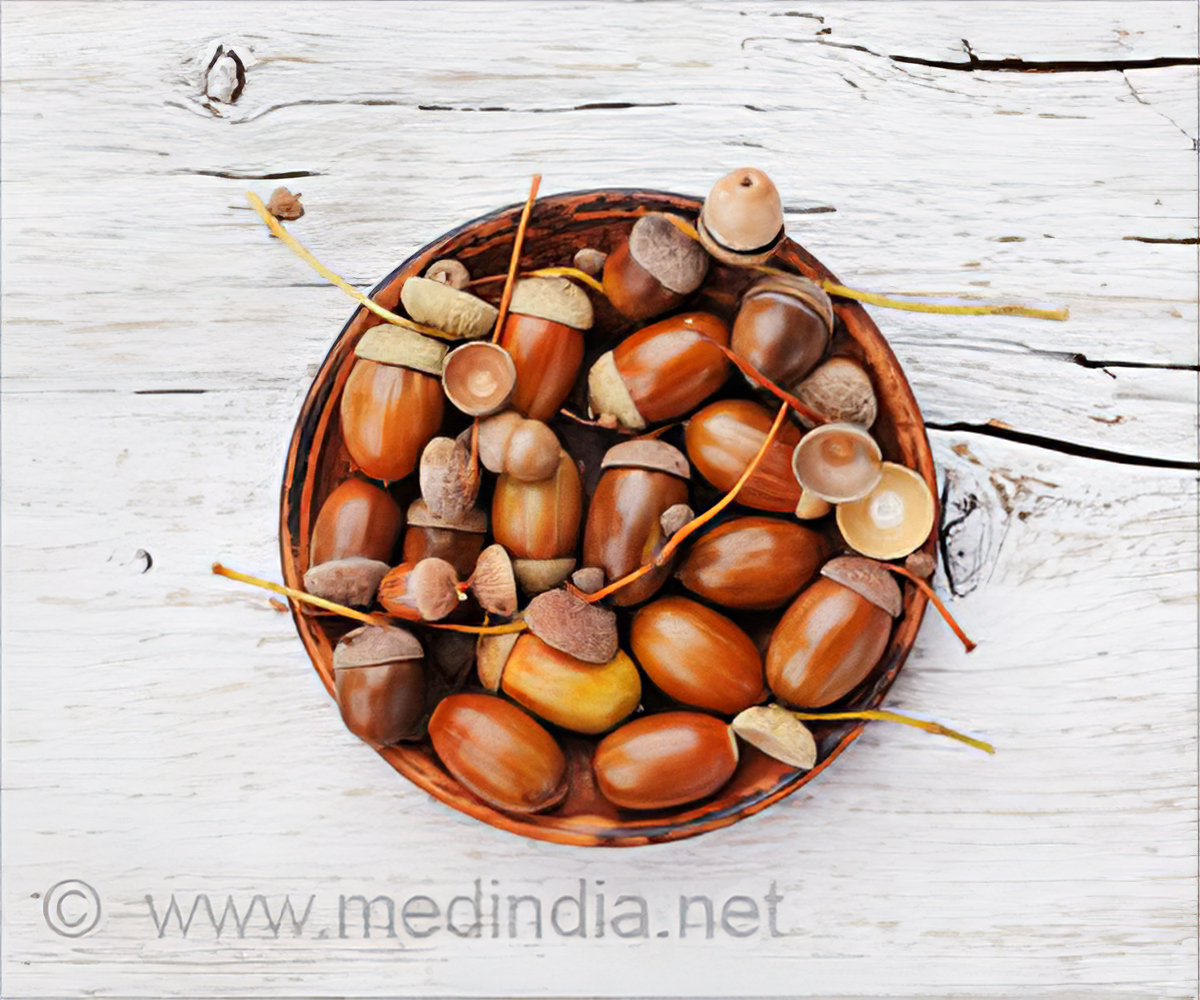 Detail Acorn Image Nomer 26
