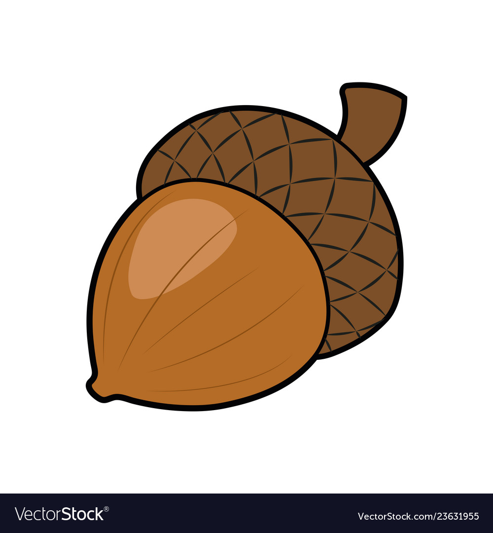 Detail Acorn Image Nomer 30
