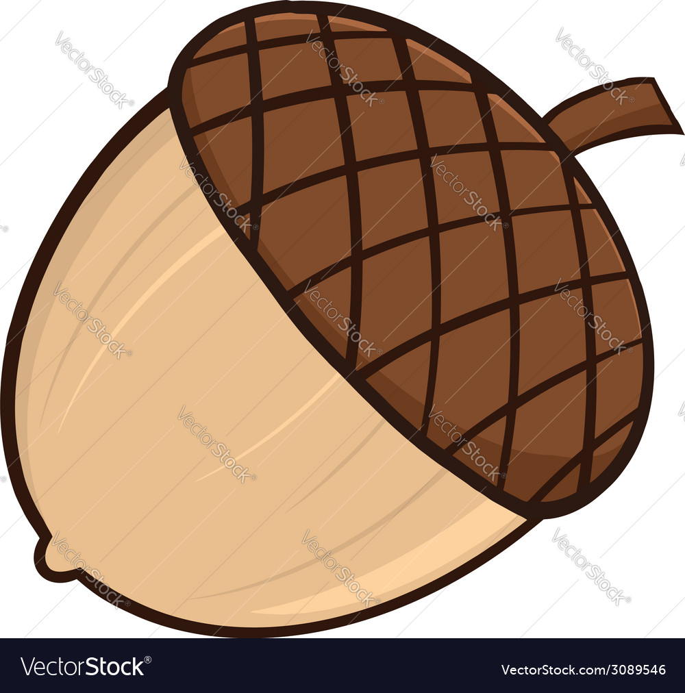 Detail Acorn Image Nomer 42
