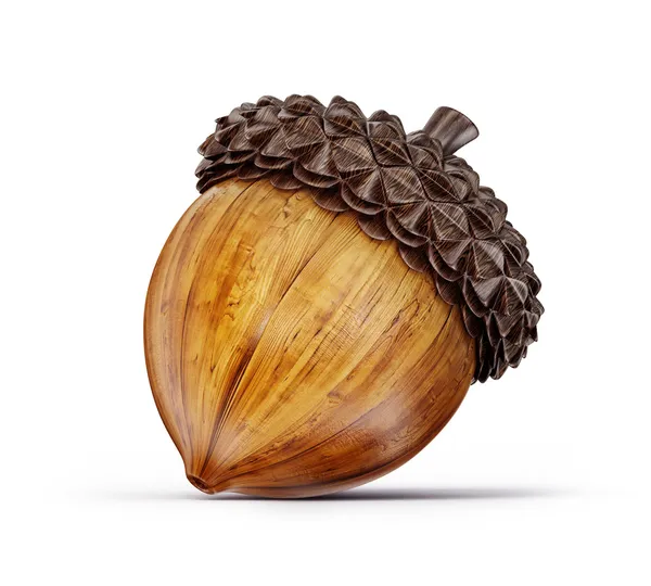 Detail Acorn Image Nomer 6